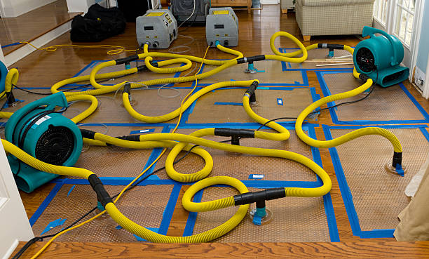 Professional Water Extraction technician working in Millington, MI